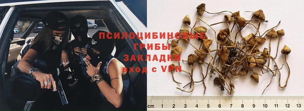 мяу мяу кристалл Липки