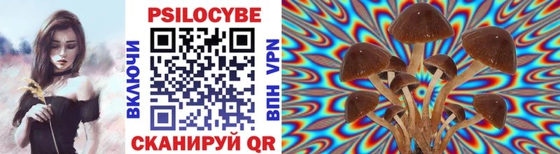 Купить закладки  Лангепас  Псилоцибиновые грибы Psilocybe 
